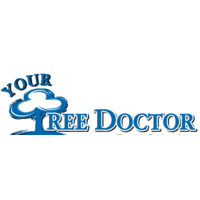 Your Tree Doctor logo, Your Tree Doctor contact details