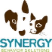 Synergy Behavior Solutions logo, Synergy Behavior Solutions contact details