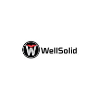 WellSolid Prototype Limited logo, WellSolid Prototype Limited contact details