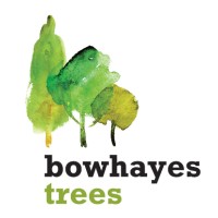 BOWHAYES TREES logo, BOWHAYES TREES contact details