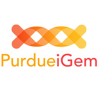 Purdue iGEM logo, Purdue iGEM contact details