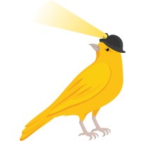 BirdieLight logo, BirdieLight contact details