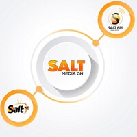 Salt Media GH logo, Salt Media GH contact details