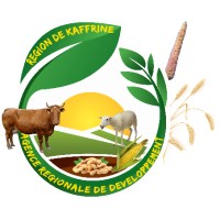 ARD Kaffrine logo, ARD Kaffrine contact details