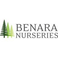 Benara Nurseries logo, Benara Nurseries contact details