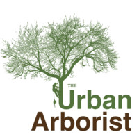 The Urban Arborist logo, The Urban Arborist contact details