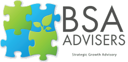 BSA Advisers, Inc. logo, BSA Advisers, Inc. contact details