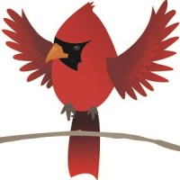 Gilligallou Bird Inc. logo, Gilligallou Bird Inc. contact details