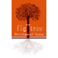 The Fig Tree Development Group logo, The Fig Tree Development Group contact details