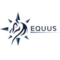 Equus International Limited logo, Equus International Limited contact details