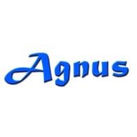 AGNUS Assessoria Empresarial logo, AGNUS Assessoria Empresarial contact details