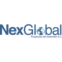 NexGlobal Consultoría logo, NexGlobal Consultoría contact details