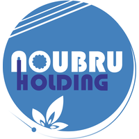 Noubru Holding Group logo, Noubru Holding Group contact details