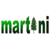 Martini Consulting logo, Martini Consulting contact details