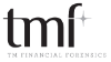 TM Financial Forensics LLC, an HKA Company logo, TM Financial Forensics LLC, an HKA Company contact details