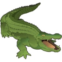 Crocodile Marketing logo, Crocodile Marketing contact details