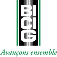 BICIG Gabon logo, BICIG Gabon contact details