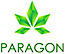 ParagonCoin logo, ParagonCoin contact details