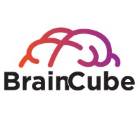 BrainCube Enterprise Solutions Pvt. Ltd logo, BrainCube Enterprise Solutions Pvt. Ltd contact details