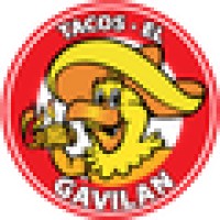 Tacos El Gavilan logo, Tacos El Gavilan contact details