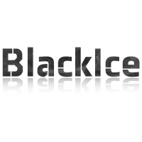 Black Ice LLC logo, Black Ice LLC contact details