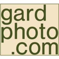 Michael Gard Photography logo, Michael Gard Photography contact details