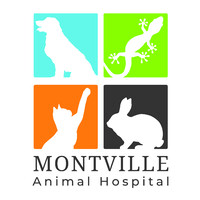 Montville Animal Hospital logo, Montville Animal Hospital contact details