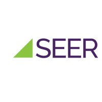 Seer Analytics logo, Seer Analytics contact details