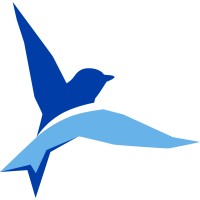 BlueBird, CPAs logo, BlueBird, CPAs contact details