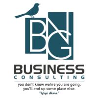 BNG Business Consulting logo, BNG Business Consulting contact details