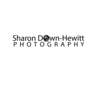 SDH Photography logo, SDH Photography contact details