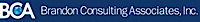 Brandon Consulting Associates logo, Brandon Consulting Associates contact details