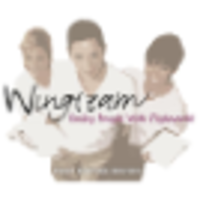 Wingteam LLC - Event Staff/Travel Staff logo, Wingteam LLC - Event Staff/Travel Staff contact details