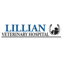 Lillian Veterinary Hospital logo, Lillian Veterinary Hospital contact details