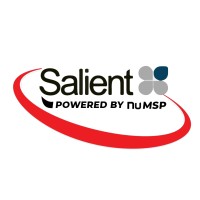 Salient IT logo, Salient IT contact details