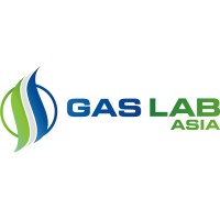 Ss Gas Lab Asia, Delhi logo, Ss Gas Lab Asia, Delhi contact details