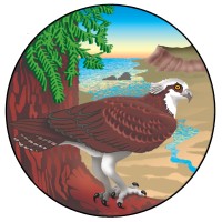 STEWARDS OF THE COAST AND REDWOODS logo, STEWARDS OF THE COAST AND REDWOODS contact details