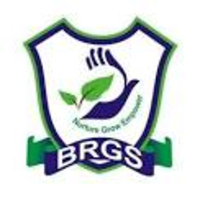 BRGSGN logo, BRGSGN contact details