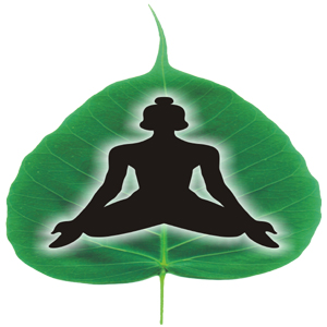 Chakrapani Ayurveda logo, Chakrapani Ayurveda contact details