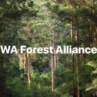 WA Forest Alliance logo, WA Forest Alliance contact details