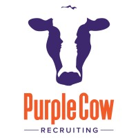 Purple Cow Recruiting logo, Purple Cow Recruiting contact details