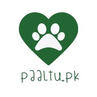 Paaltu PK logo, Paaltu PK contact details