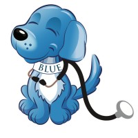 Bright Blue Healthcare logo, Bright Blue Healthcare contact details