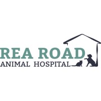 Rea Road Animal Hospital logo, Rea Road Animal Hospital contact details