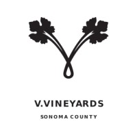 V. VINEYARDS logo, V. VINEYARDS contact details