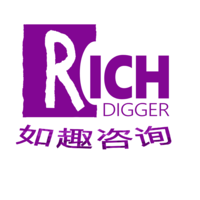 Richdigger Consulting logo, Richdigger Consulting contact details