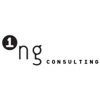 1ng Consulting logo, 1ng Consulting contact details