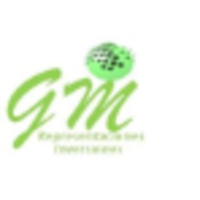 Representaciones Inversiones GM logo, Representaciones Inversiones GM contact details