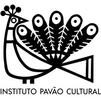 Instituto Pavão Cultural - Projetos Educativos logo, Instituto Pavão Cultural - Projetos Educativos contact details