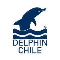 DELPHIN CHILE logo, DELPHIN CHILE contact details